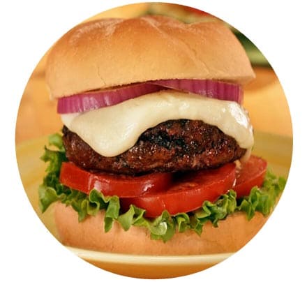 Mozzarella Burger